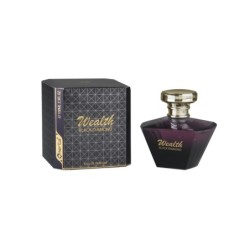 Parfum Wealth Black Diamond 100 ml